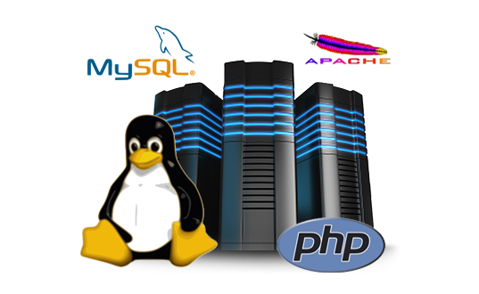 خدمات إستضافة المواقع على نظام Linux